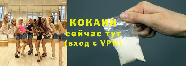 кокс Арсеньев