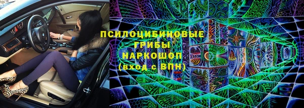 кокс Арсеньев