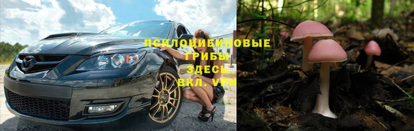 круглые Аркадак