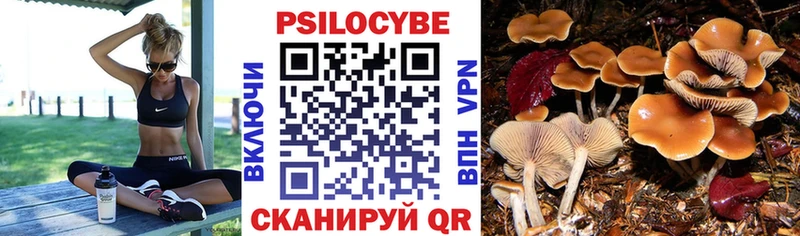 Псилоцибиновые грибы прущие грибы Сусуман